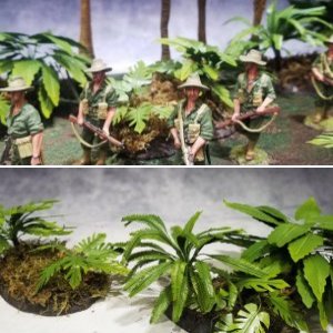 Jungle Plants