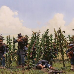 Miller's Cornfield September 17, 1862