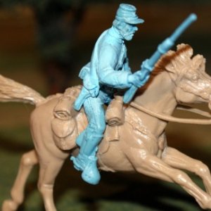 TSSD cavalry trooper holding carbine in right hand