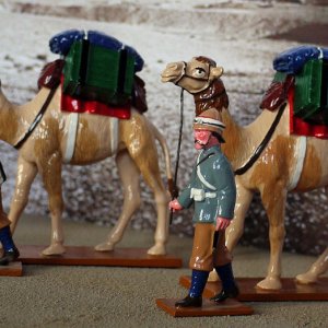 CAMEL CORPS IN ACTION -  FRESH SUPPLIES ARRIVE