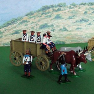 NAVAL BRIGADE SUPPLY WAGONS