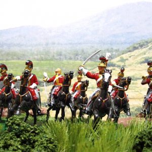 WA75 series-1st Regt of Life Guards