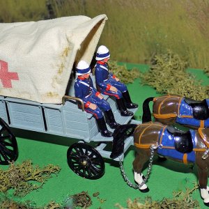 FIELD AMBULANCE