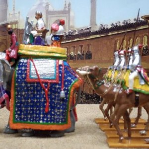 Elephant of Bikaner and Camel Escort