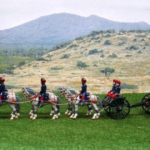 EQ 25 Hydrabad Field Artillery standing horses