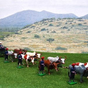 EQ 14 A, Oxen Drawn Field Artillery