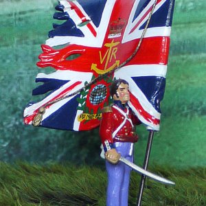 Set# CWS23D ROYAL MARINES LIGHT INFANTRY  KINGS COLOUR