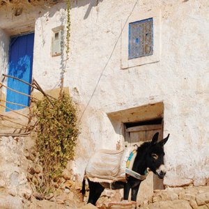 FFL southern morocco spring walking 56220