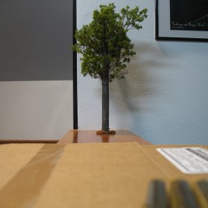 First Tree used in 114th Diorama