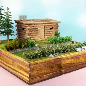 Log Cabin (11)