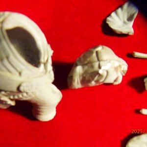 PA041451 - Copie.JPG