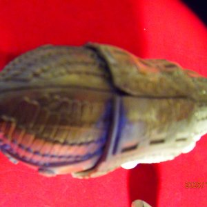 PA041455 - Copie.JPG