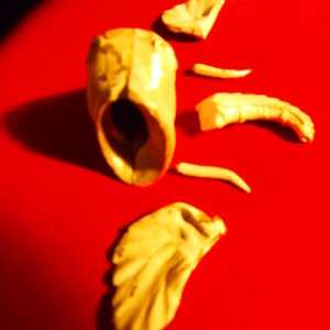 PA041456 - Copie.JPG