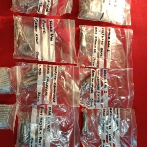 IMG_2024-04-22-11-03-32-456 (1).jpg