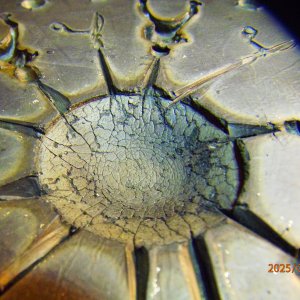 P9121318 - Copie.JPG