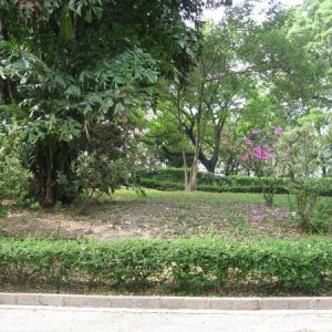 We couldn't believe this beautiful green space was right in the heart of Kowloon surrounded by skyscrapers and busy streets.