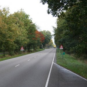 The '30 Corps' road to Eindhoven, Valkenvaard Commonwealth Cemetery just in view on the left.

Still not very wide and great for ambush.