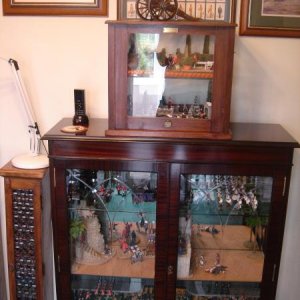 Yet another cabinet full of soldiers, I don't know about you guys but I cannot pass a store selling cabinets without a good look inside for potential 