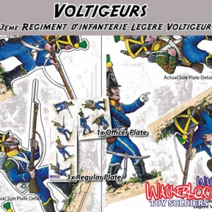 voltigeurs box plate details