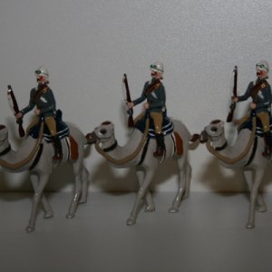 Guards Camel Corps