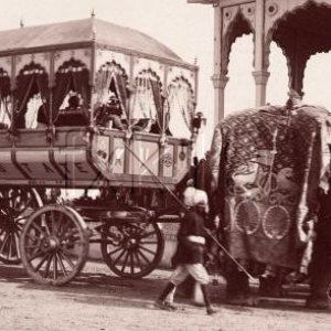 Procession, Rewah's state elephant car