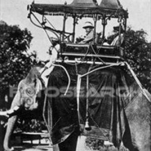 Baroda State Elephant, India, 20th century