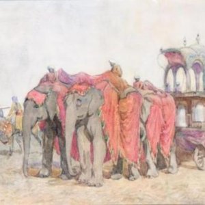 Artist   Henry Inglis Jodriel Sheldon-Williams 
Title   Rath (Elephant state carriage) of the Maharaja of Alwar  
Medium   watercolor over pencil  
Si