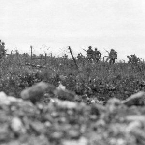 767px Wiltshire Regiment Thiepval 7 August 1916