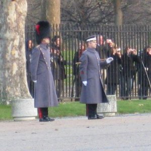 A crowd gathers on the other side of the fence