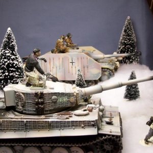 The Collectors Showcase Winter Tiger and Stug