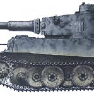 Tiger tank #111. In the vicinity of Mga, September 1942. The vehicle is repainted in lighter gray RAL 7005 Mausgrau over first coat of darker gray RAL