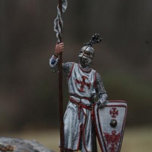 Templar Knight (XII.C)