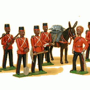 025 Queen's Own Madras Sappers and Miner