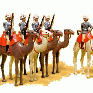 034 Life Guards of the Heavy Camel Regiment