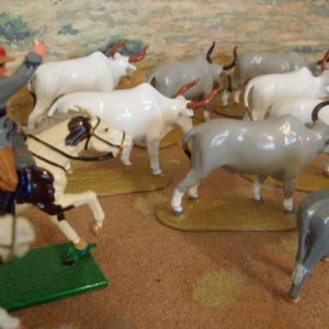 ZULU WAR   HERD 9