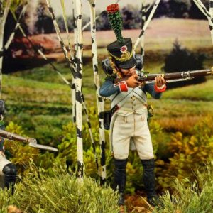 French Line Infantry, 85th Regiment, Borodino 1812

IMG 1598(TF)