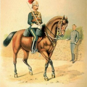 Officers, 6th Regiment of Cavalry 'Duke of Connaught's Royal Canadian Hussars', circa 1891.
The Duke of Connaught's Royal Canadian Hussars were a Mont