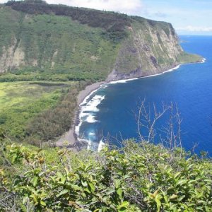 100 1564

Waipio pt.