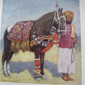 Jodhpur Horseman   Menpes