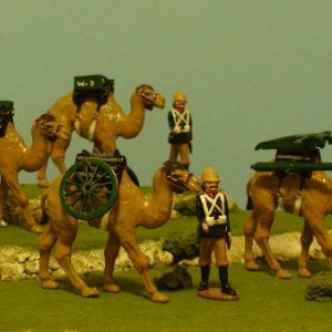 British Camel Artillery