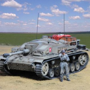 Stug4 small 2010 2 19