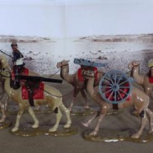 CAMEL CORPS