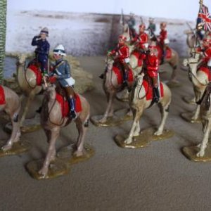 CAMEL CORPS