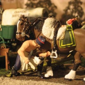 French farrier closeup.