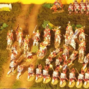 Scots Greys