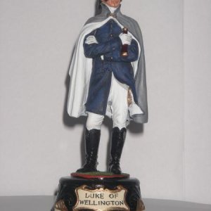 The Duke of Wellington