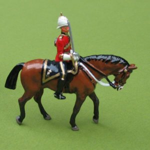 4th Royal Irish Dragoons Officer