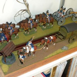 Front View of finished Kits mounted on flocked wooden display stands.