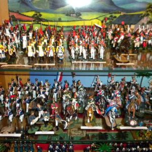 French Foot Dragoons, Line Infantry, Dutch and Italian Grenadiers (by ANI), Polish Lancers (by Collectors Showcase, Frontline, and some from St. Peter