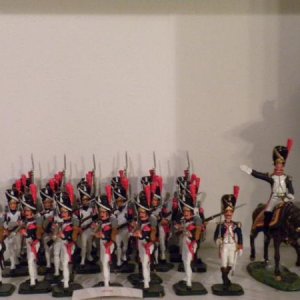 Imperial Guard (by ANI)